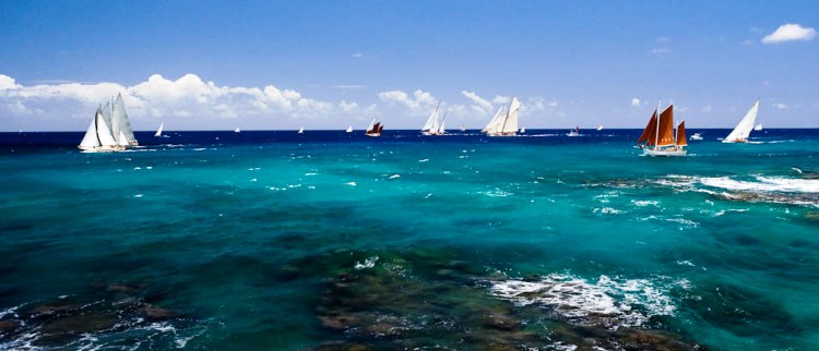 Группа старинных яхт во время регаты «Antigua Classic Yacht Regatta 2008»