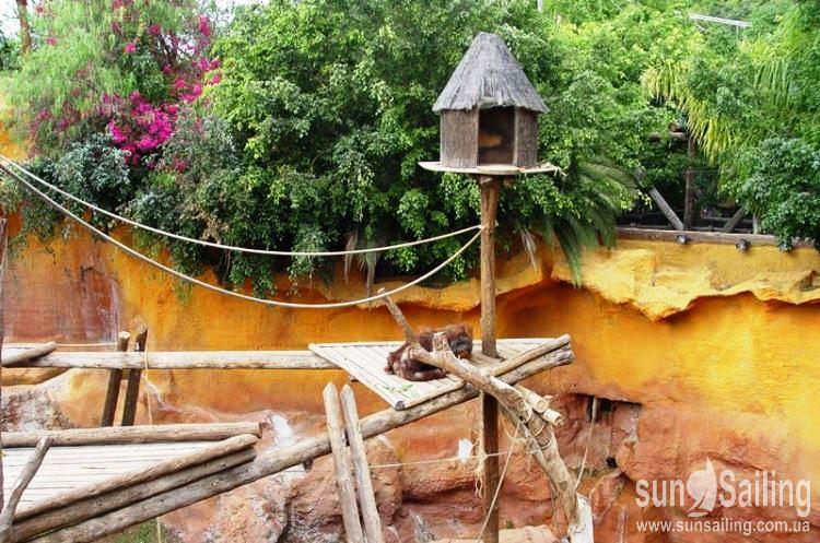 Jungle Park