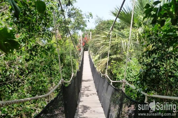 Jungle Park