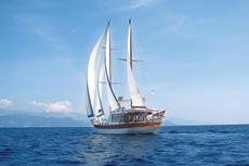 Serenity 70,  3 кают(ы), 2008 г. выпуска 