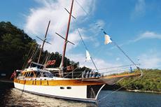 Serenity 70,  3 кают(ы), 2008 г. выпуска 
