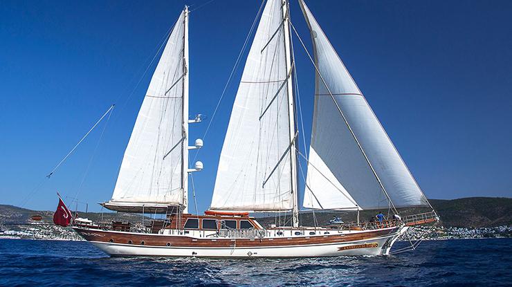 Estrella De Mar
